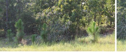 Tbd Callaway Drive, Graniteville, SC, 29829 | Card Image