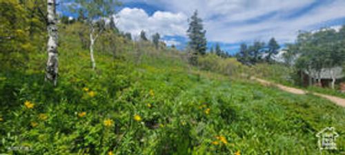 1920 W Elk Rd, Coalville, UT, 84017-6415 | Card Image