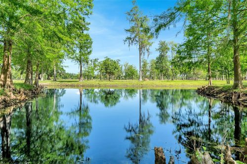 TBD Corkwood Ln, Astatula, FL, 34705 | Card Image