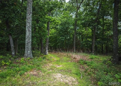 2 Trails End Trl, House Springs, MO, 63051 | Card Image