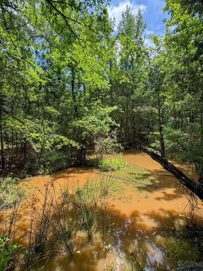 0000 Fm 3421, Home with 0 bedrooms, 0 bathrooms and null parking in Lone Star TX | Image 26