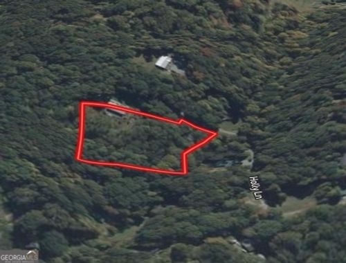 2-0 Holly Ln, Ellijay, GA, 30540 | Card Image