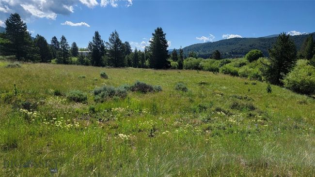 Image | Image 6