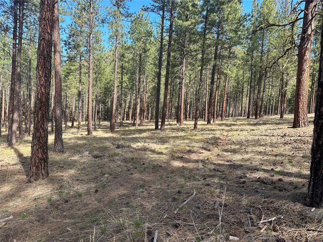 31760 Old Highway 10 W, Home with 0 bedrooms, 0 bathrooms and null parking in Alberton MT | Image 25