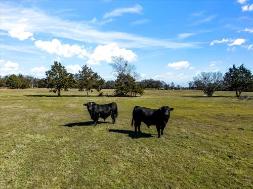 11095 E State Highway 31, Kerens, TX, 75144-4123 | Card Image