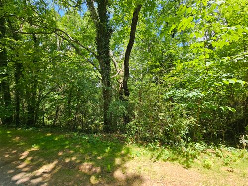 000 Michaels Way, Newport, TN, 37821 | Card Image