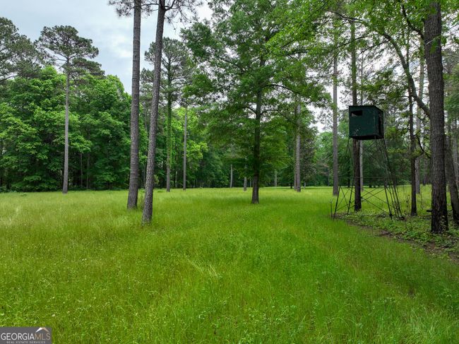 6620 Jr Sims Rd, Home with 0 bedrooms, 0 bathrooms and null parking in Irwinton GA | Image 5