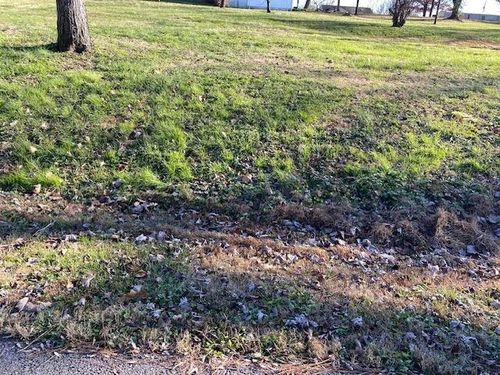 Lot 1 Goose Hollow St, Drakesboro, KY, 42337 | Card Image