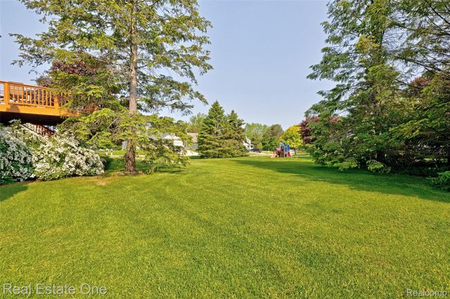 58) Backyard.jpg | Image 49