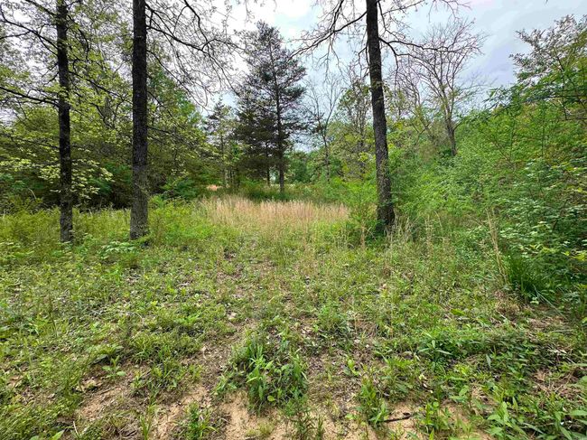 4090 Sunny Slope Rd, Home with 0 bedrooms, 0 bathrooms and null parking in Edgemont AR | Image 9
