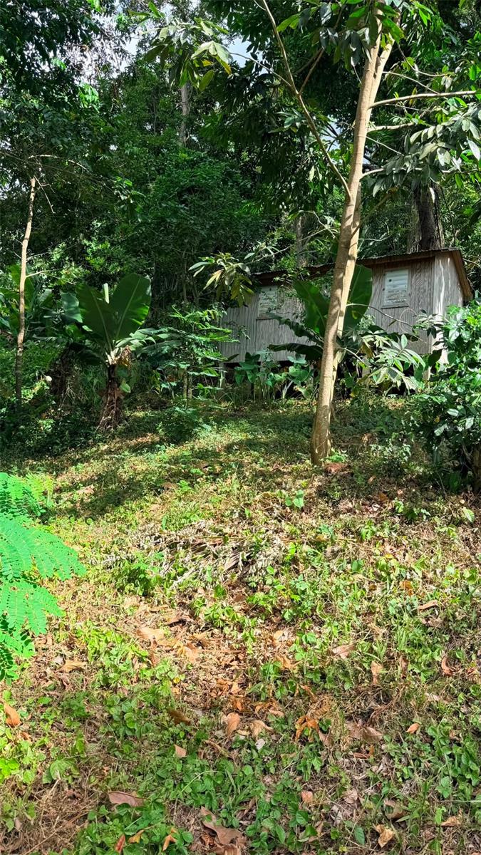 Land en venta en SAN GERMAN, CAIN ALTO. BO. HOCONUCO ALTO