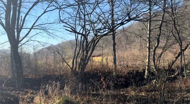 745 Barkley Rd, House other with 3 bedrooms, 1 bathrooms and 4 parking in Harmony PA | Image 8