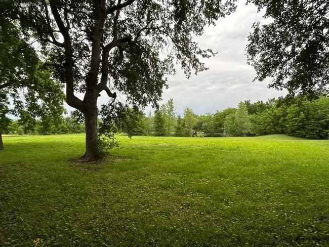 Image | Image 9
