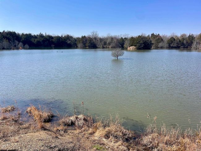 000 Brewer Rd, Home with 0 bedrooms, 0 bathrooms and null parking in Conway AR | Image 45