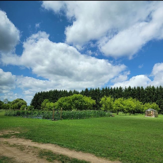 Large Garden and Fruit Trees on property. | Image 7