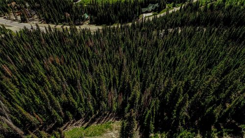 434 Carroll Ln, BRECKENRIDGE, CO, 80424 | Card Image