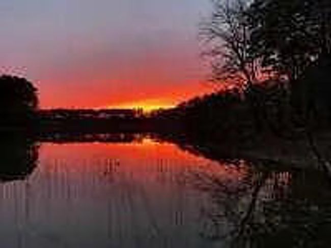 sunset | Image 19