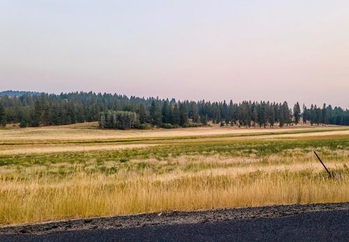 10808 S Jackson Rd, Mica, WA, 99023 | Card Image