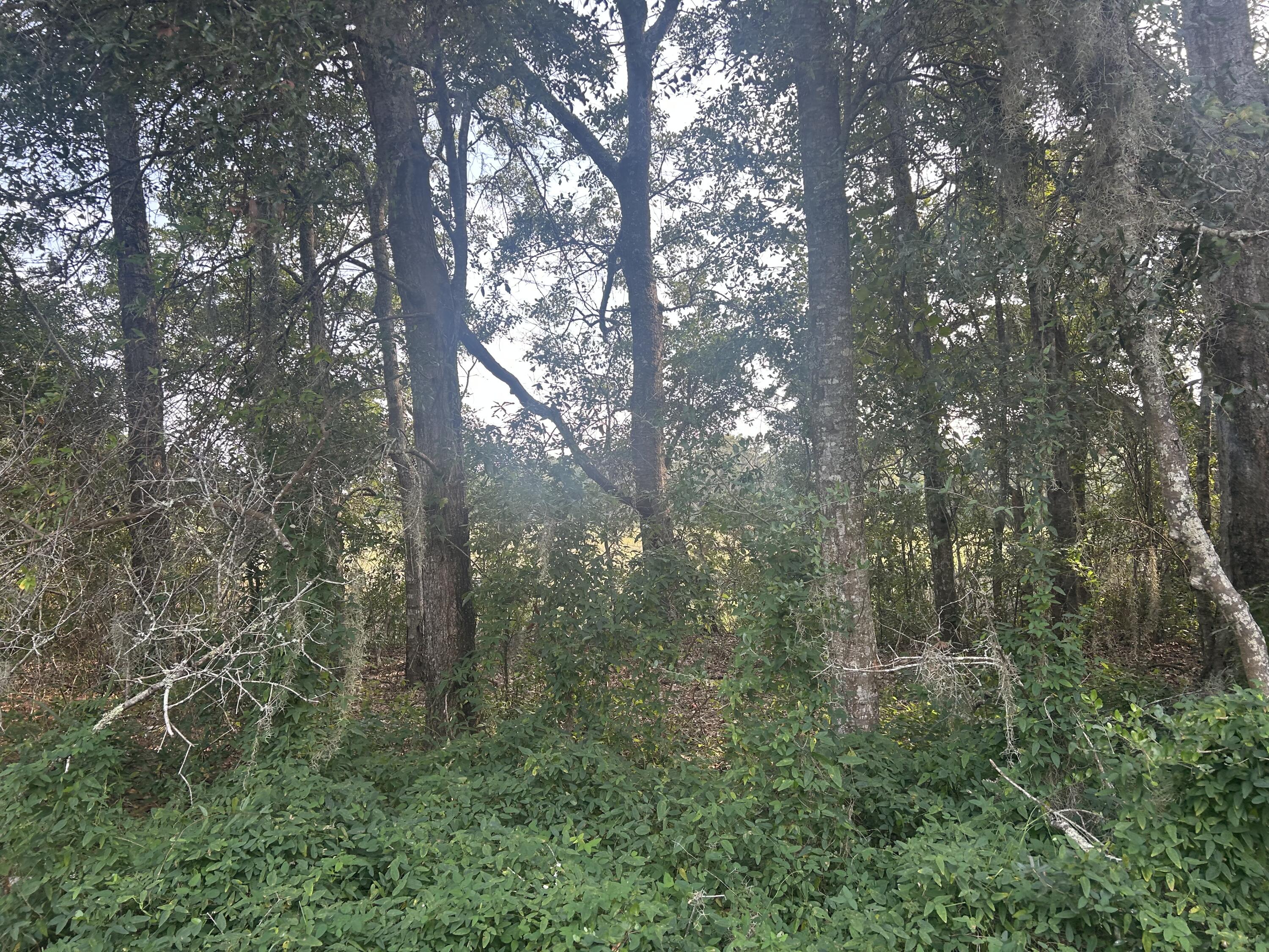 Land in Saint Helena Island 3