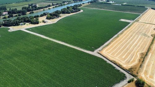 13485 Isleton Rd, Isleton, CA, 95641-9608 | Card Image