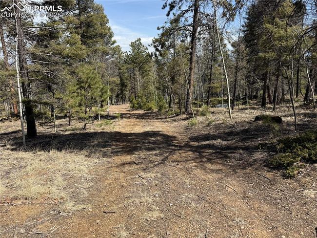 242 Apache Creek Dr, Home with 0 bedrooms, 0 bathrooms and null parking in FLORISSANT CO | Image 7