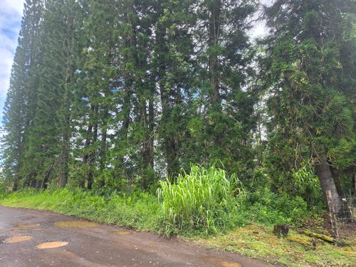 16-315 Kehaulani St, KURTISTOWN, HI, 96760 | Card Image
