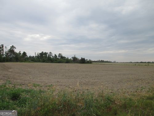 08600022T3 Red Bird Rd, Lumber City, GA, 31549 | Card Image