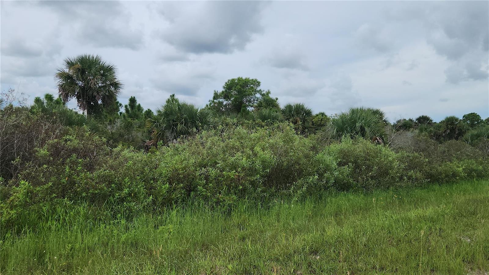 Other in Okeechobee