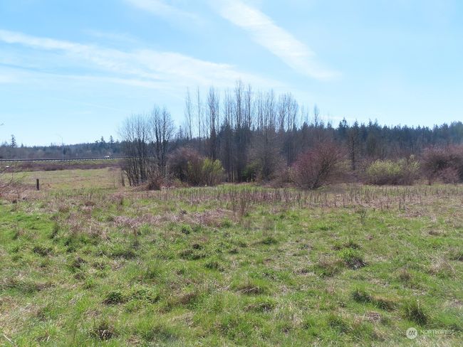 A - 107 Avery Rd W, Home with 0 bedrooms, 0 bathrooms and null parking in Napavine WA | Image 4