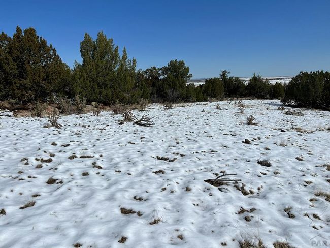 28 Turkey Ridge Rd, Home with 0 bedrooms, 0 bathrooms and null parking in Walsenburg CO | Image 32