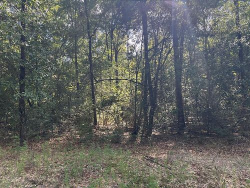0 Lazy B Rd, Lumberton, MS, 39455 | Card Image