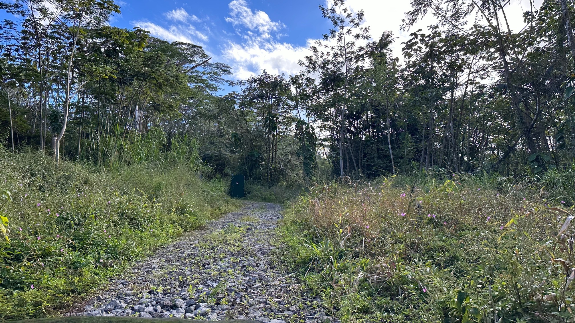 Land in Pahoa 5