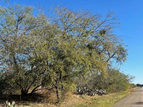 0 Red Barn Rd, Poteet, TX, 78065 | Card Image