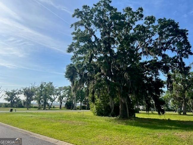 LOT 48 Maiden Creek Dr, Home with 0 bedrooms, 0 bathrooms and null parking in Waverly GA | Image 4