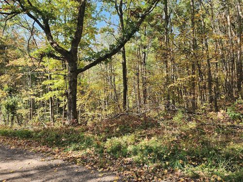 2409 Loons Landing Rd, Weyerhaeuser, WI, 54895-8702 | Card Image