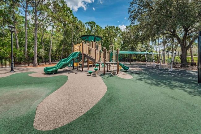 10751 Tavistock Dr, House other with 4 bedrooms, 4 bathrooms and null parking in Tampa FL | Image 74