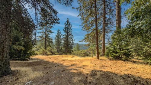 19074 Pine Dr E, Pioneer, CA, 95666-9306 | Card Image