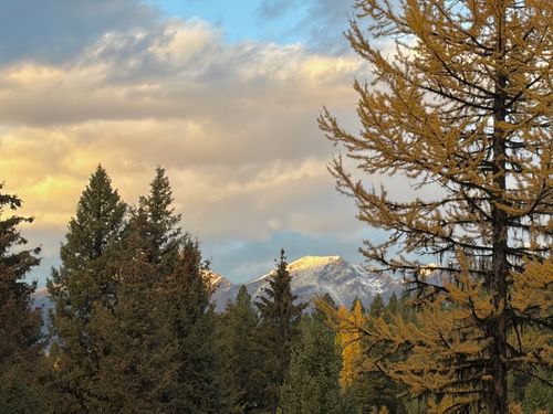 149 Montana Dr, Seeley Lake, MT, 59868-8564 | Card Image