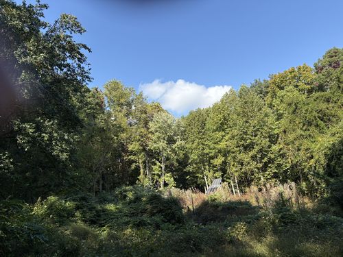 1431 Roarks Cove Rd, Sewanee, TN, 37375-3029 | Card Image