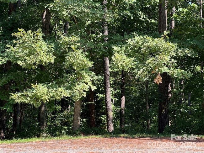 32 Miners Creek Dr, Home with 0 bedrooms, 0 bathrooms and null parking in Lincolnton NC | Image 6