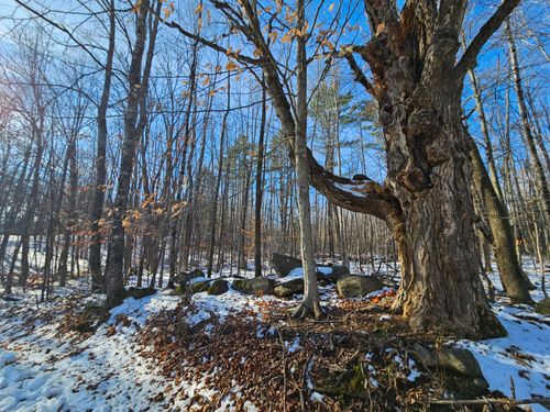 9133 Ski Slope Road, Farmington, ME, 04938 | Card Image