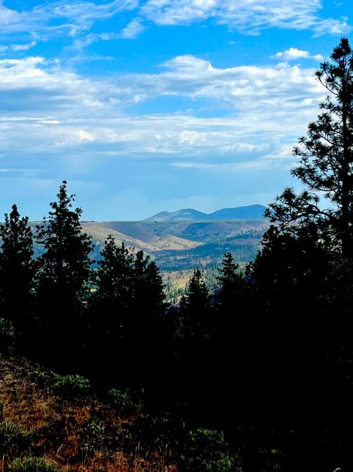 34645 Partridge Ln N, Davenport, WA, 99122-5328 | Card Image