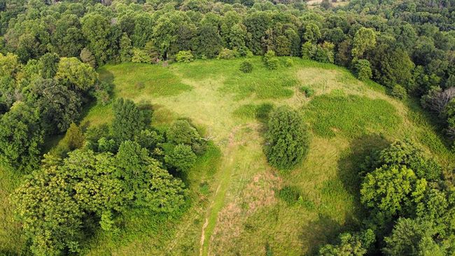 33.64 ac Davis Rd, Home with 0 bedrooms, 0 bathrooms and null parking in Livingston TN | Image 27