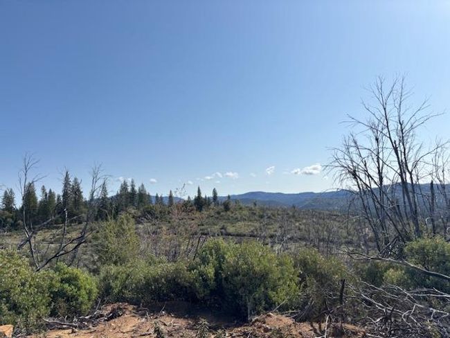 19292 Shawnee Trl, Home with 0 bedrooms, 0 bathrooms and null parking in Mokelumne Hill CA | Image 32