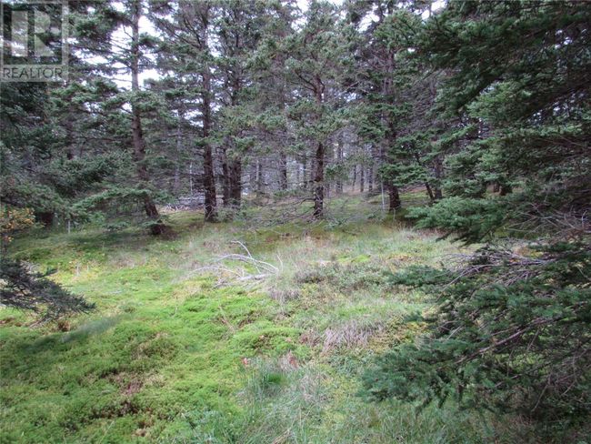 C - 54 C Point Rd, Home with 0 bedrooms, 0 bathrooms and null parking in Chapel Cove NL | Image 9