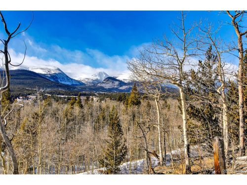 96 Dead Toad Rd, Alma, CO, 80420 | Card Image