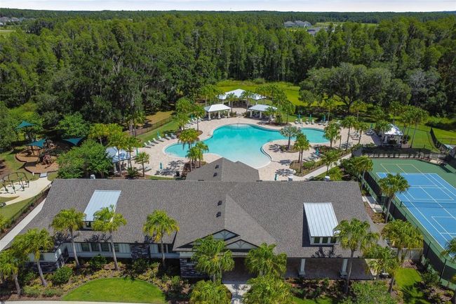 10701 Morning Dew Way, House other with 7 bedrooms, 6 bathrooms and null parking in TAMPA FL | Image 80