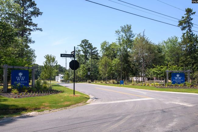 812 Elms Spinney Ln, Home with 0 bedrooms, 0 bathrooms and null parking in Chapin SC | Image 10