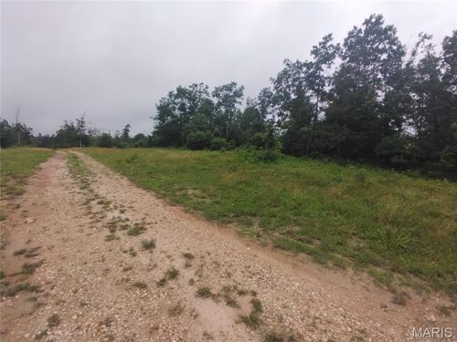 9 Tract 9 Off Highway O, Belleview, MO, 63623 | Card Image