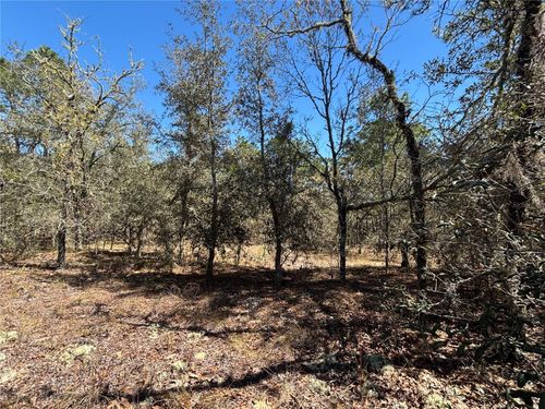 0000 Sw Hillcrest Avenue, Dunnellon, FL, 34431 | Card Image